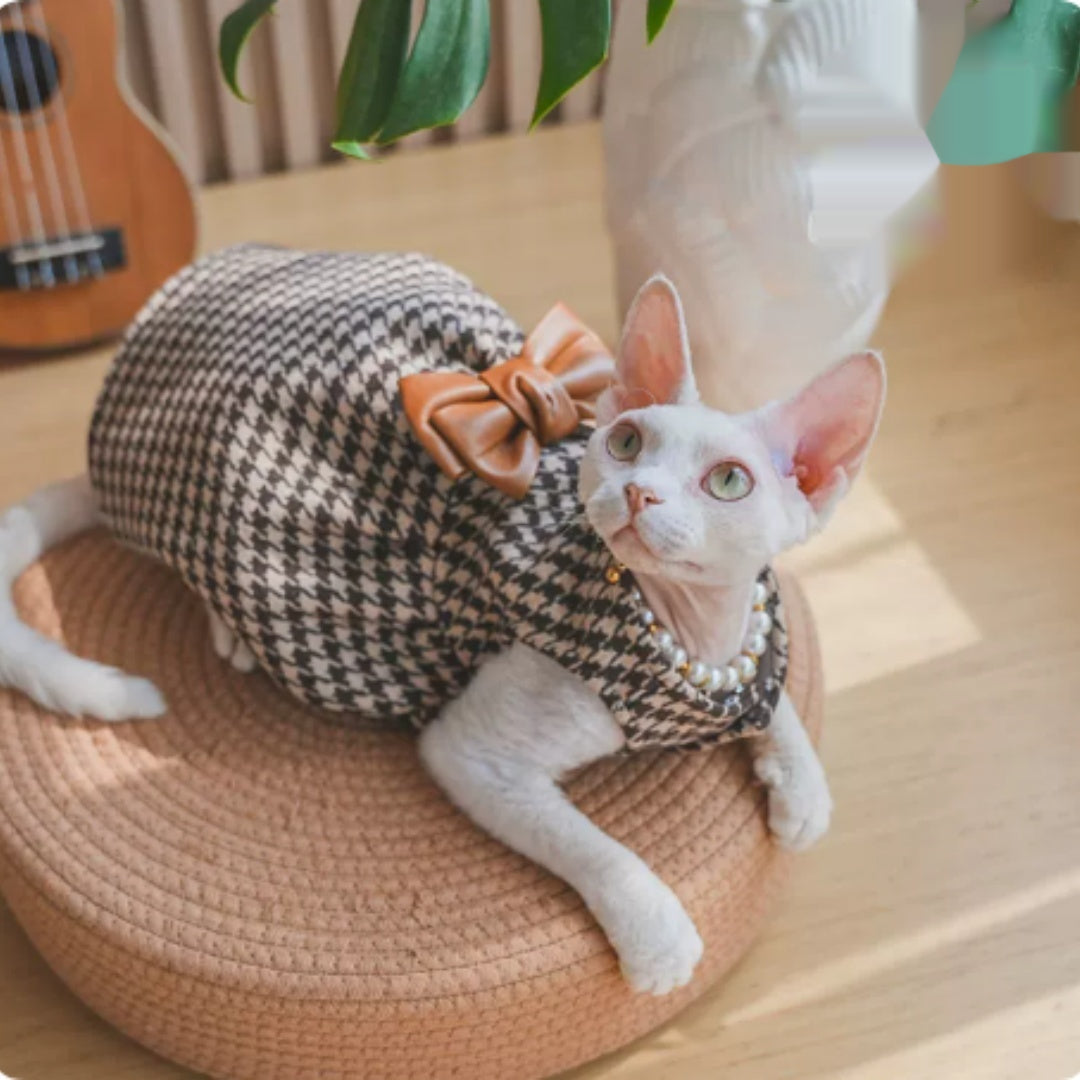 Sphynx cat wearing a knit bow dress in soft yarn, shown from the side on a light background