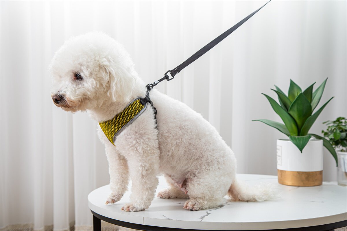 Adjustable pet vest harness shown with matching leash set, suitable for small dogs and cats