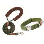 Padded dog collar with soft cushioned lining for a comfortable secure fit