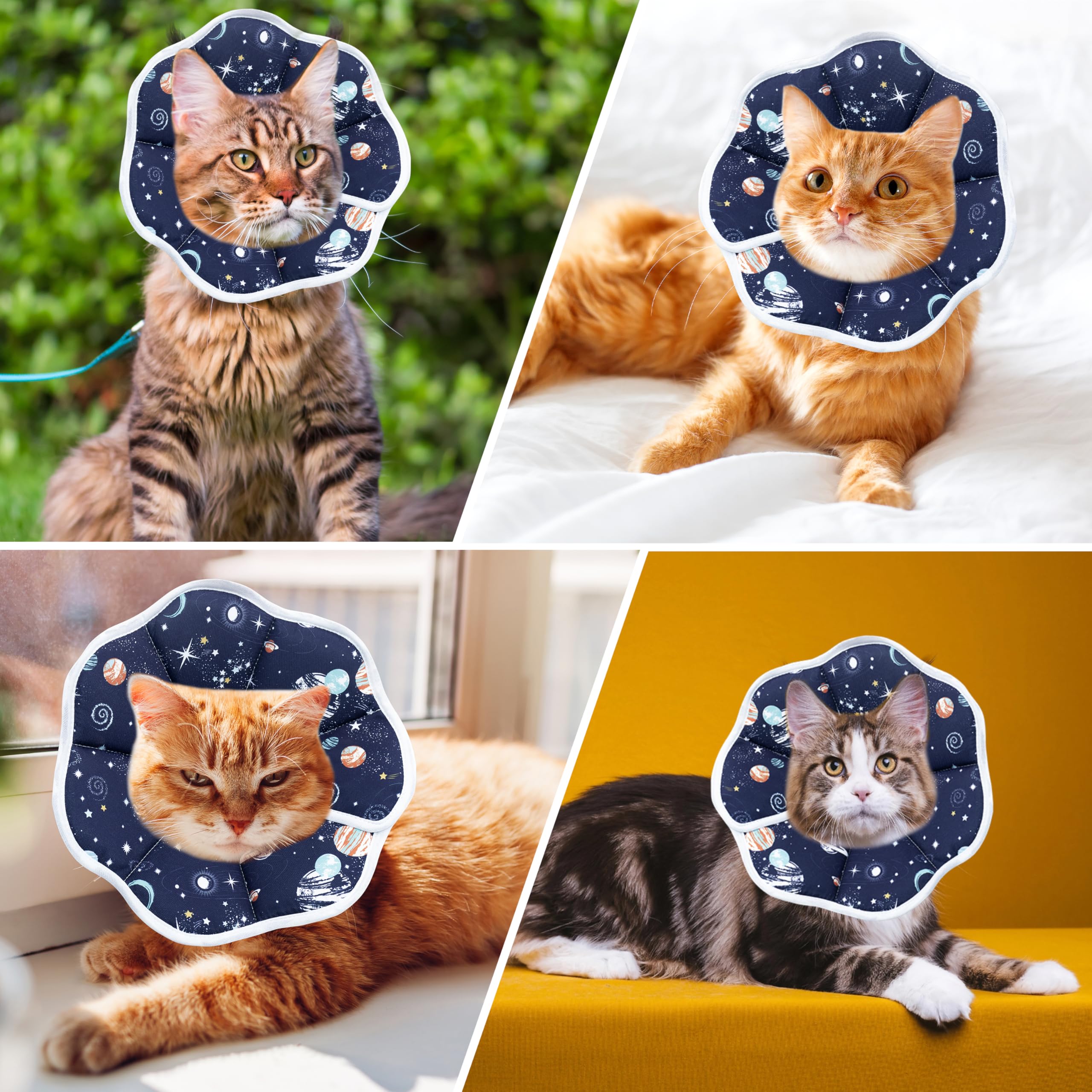 Tabby cat wearing a soft adjustable Elizabethan recovery cone collar, shown from the front on a light background