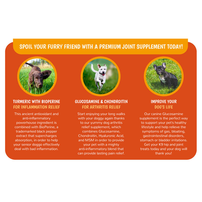 Joint supplement chews for dogs and cats with glucosamine, chondroitin, and MSM in a resealable bag