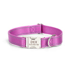 Adjustable nylon dog collar with reflective stitching shown laid flat, highlighting durable buckle and sizing hardware