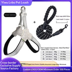 Reflective Y-shape dog harness and leash set shown in breathable mesh vest style, ideal for small to medium dogs