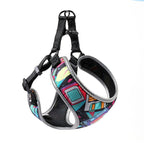 Adjustable pet vest harness shown with matching leash set, suitable for small dogs and cats
