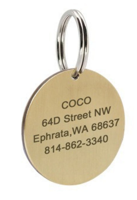 Round silver engraved pet ID tag with custom text, shown close up to display engraving detail